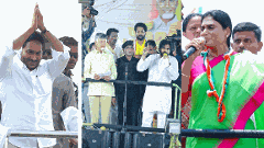 చంద్రబాబు పర్యటనలు రద్దు.. ఆంధ్ర ఎన్నికల ప్రచార షెడ్యూల్ ఈరోజు ఇలా..