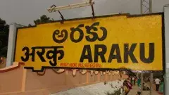 అరకుగా మారిన నర్సీపట్నం పార్లమెంట్‌