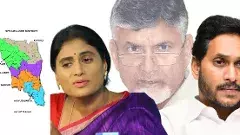 సింహపురిలో గర్జించేది ఎవరు?