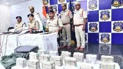 బ్యాంకును దోచి.. మర్రిచెట్టు తొర్రలో దాచిన ముసుగు దొంగ