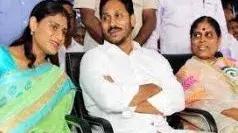 గెలుపునకు కేరాఫ్‌ వైఎస్‌ కుటుంబం.. మరి షర్మిల?