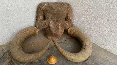 తిరుపతి సమీపంలో నిశ్శంక దుర్గానికి ట్రెక్...