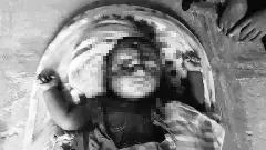 తాలిబన్ల కంటే సమస్యగా మారిన కుక్కలు