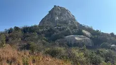 జీపుల్లో  శేషాచల అడవి ప్రదక్షిణం