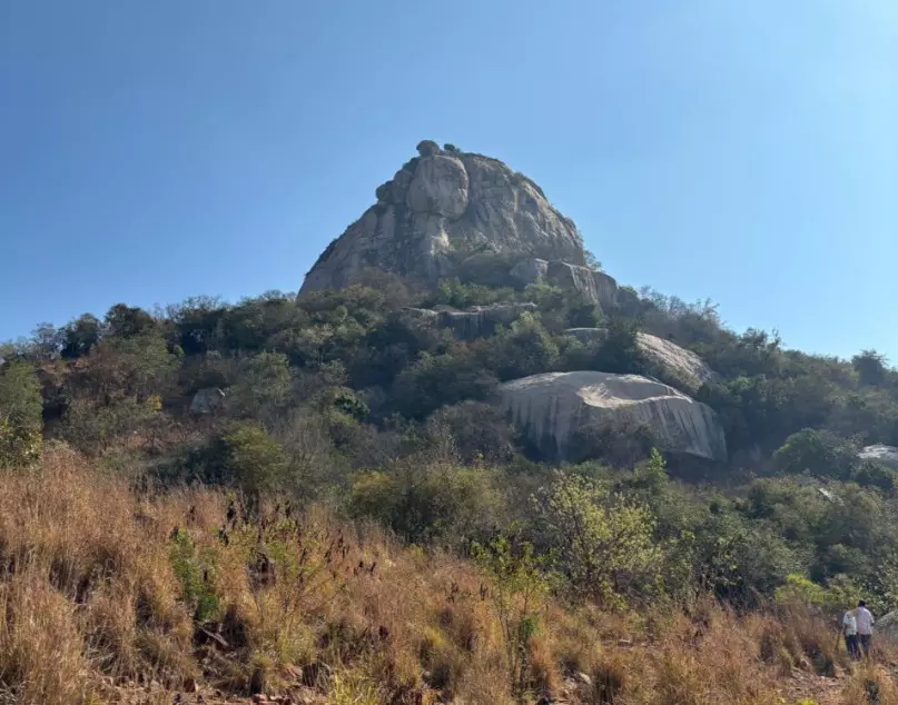 జీపుల్లో  శేషాచల అడవి ప్రదక్షిణం