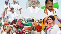 కాడి మోసే  కాంగ్రెస్ నేతలకు కొరడా దెబ్బలు తప్పవా..?!