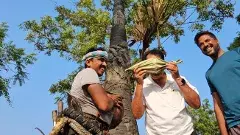 రారమ్మని పిలిచె నీరా’