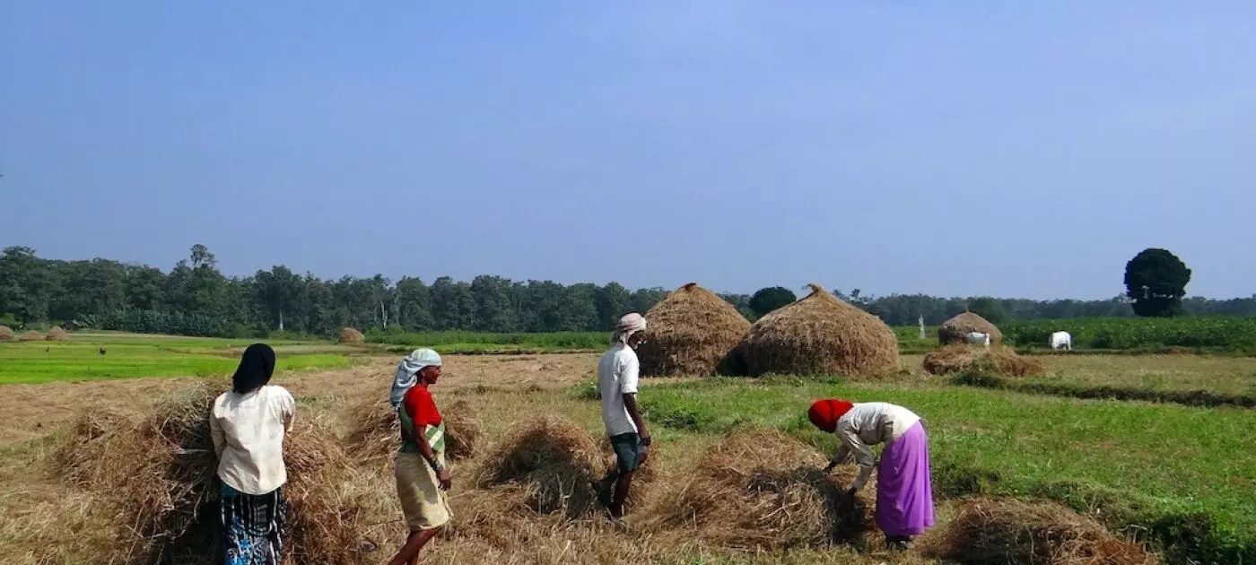 సొమ్ము ఆంధ్రా సర్కారుది.. సోకు భూయజమానులది.. కష్టం కౌలు రైతులది