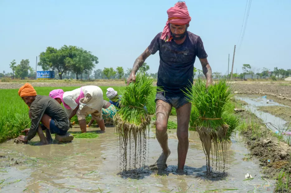 కనీస మద్దతు ధర పెంపు ..ఏ పంటకు ఎంత పెంచారు?