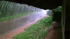 దడిచిన నైరుతి