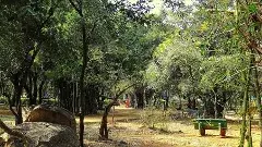 తెలంగాణలో 40 ప్రాంతాల్లో పర్యావరణ పర్యాటక రంగాభివృద్ధి