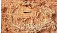 ప్రకాశం జిల్లాలో బయటపడిన పురాతన ఆస్ట్రిచ్ గూడు, ఎన్నివేల ఏళ్ళనాటిదంటే...