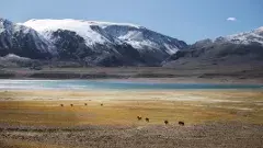 నదిలో మునిగిన టీ 72, ఐదుగురు జవాన్లు..