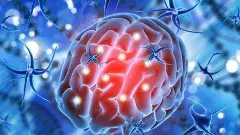 కేరళను భయపెడుతున్న బ్రెయిన్ ఈటింగ్ అమీబియా..