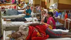 హైదరాబాద్‌లో నోరోవైరస్,జికా, డెంగీ కేసుల కలవరం