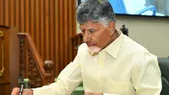 టార్గెట్ పెద్దిరెడ్డి, బాలినేని