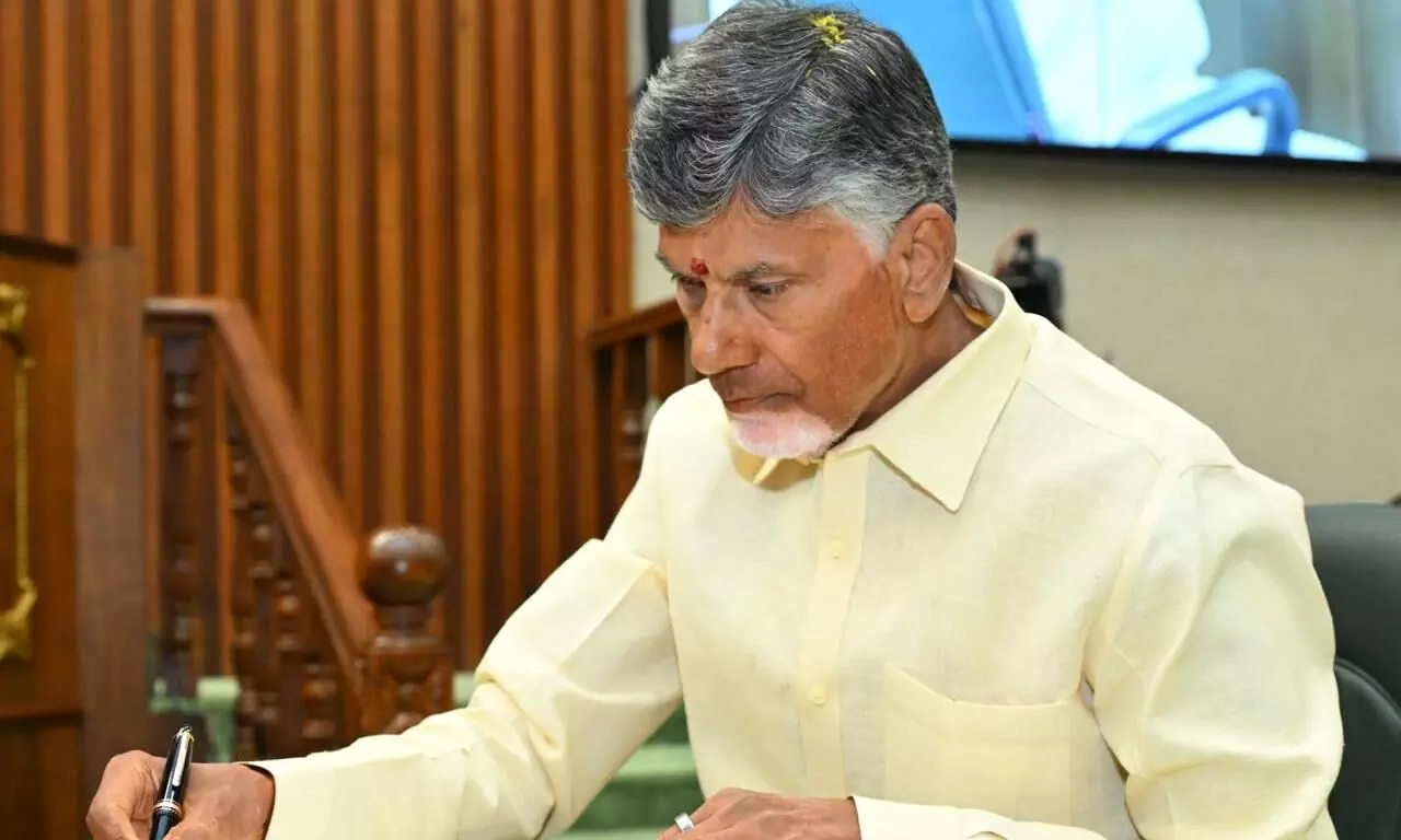 టార్గెట్ పెద్దిరెడ్డి, బాలినేని