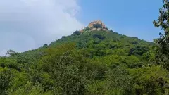 తిరుపతి దగ్గిర పచ్చదనాల రాశి పెమ్మగుట్టకు ట్రెక్