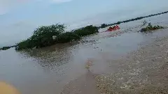 ఆంధ్రను అల్లకల్లోలం చేస్తున్న వర్షాలు.. స్పందించిన సర్కార్