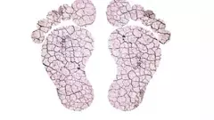 హృదయం ఉన్న నేల !