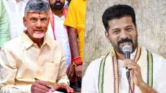 చంద్రబాబు మాస్టర్ ప్లాన్‌కు రేవంత్ చెక్ పెట్టారా!