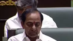 కేసీఆర్ ఎంత కాలానికి కనిపించారో