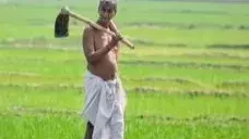 రుణమాఫీ నిధుల్లో భారీ కోత  రైతుల్లో టెన్షన్