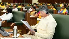 దేశంలో సీనియర్‌ మోస్ట్‌ సీఎం చంద్రబాబే.. అయినా సాధారణ బడ్జెట్‌ ప్రవేశ పెట్ట లేదు.. ఎందుకని?