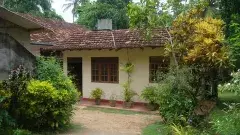 నువ్వు రిటైర్ అయితే నాకేంటిట చెప్పు??