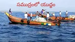 సముద్రంలో.. ఆంధ్రా వలలు విలవిల