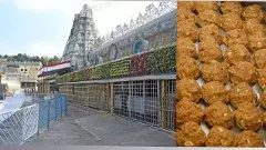 లడ్డులో దిట్టమెంత..?                            తిరుమల ప్రసాదం వయసెంత..??