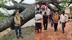 సినిమా చెట్టు విషయంలో చేతులు కాలాక ఆకులు పట్టుకుంటున్నారా..!