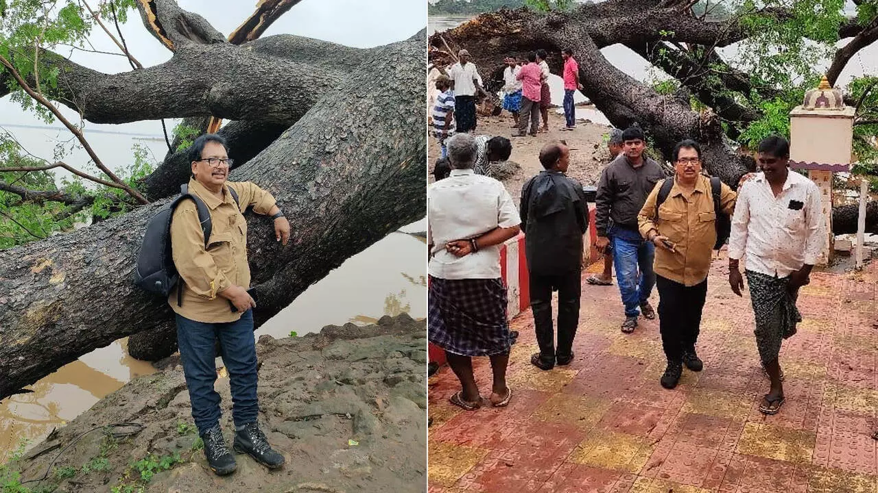 సినిమా చెట్టు విషయంలో చేతులు కాలాక ఆకులు పట్టుకుంటున్నారా..!