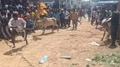 ఆ పల్లెకు  సంక్రాంతి వచ్చింది..!