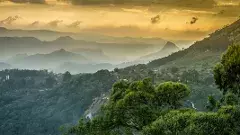 పశ్చిమ కనుమలను కాపాడేందుకు సిద్ధమైన యోధులు.. వారు ఎవరూ?