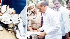 ఫైల్స్‌ దగ్ధాల వెనుక అసలు నిజాలు ఇవేనా?