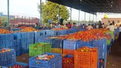 వినడానికి విడ్డూరమే..!  అనంతలో ఐదెకరాల కొరత..!!