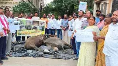 కాలుష్యం కాటేసింది...