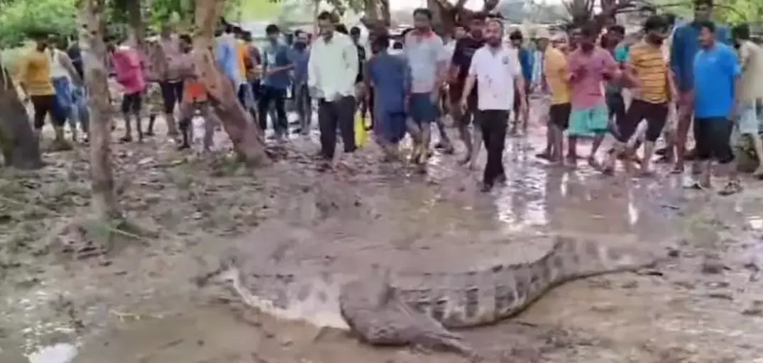 అధికారుల చెలగాటం.. వడోదర వాసులకు ప్రాణ సంకటం