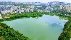 269 చెరువులకు ఎఫ్‌టీఎల్,బఫర్‌ జోన్ల గుర్తింపు