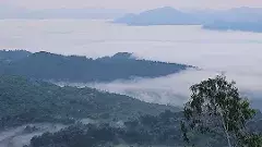 అరకు వెళ్లాలనుకుంటున్నారా.. అయితే ఇది తప్పక చదవండి