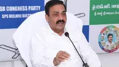 ‘బాబు వన్నీ డైవర్షన్ పాలిటిక్సే’.. మండిపడ్డ మాజీ మంత్రి కాకాణి