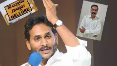 వైసీపీ పదవుల్లో జగన్ మెప్పు పెద్దరెడ్లకే..!