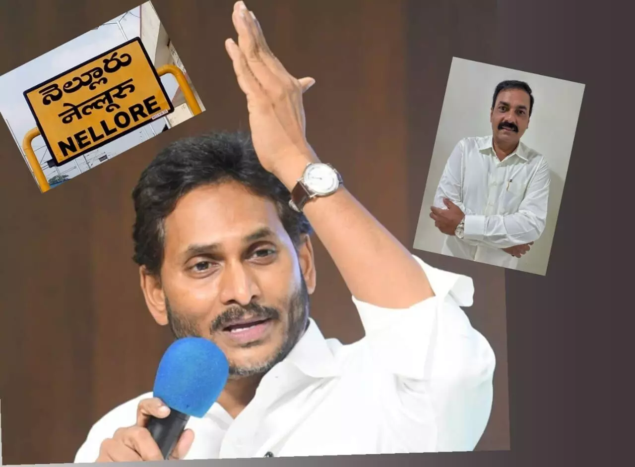 వైసీపీ పదవుల్లో జగన్ మెప్పు పెద్దరెడ్లేకే..!