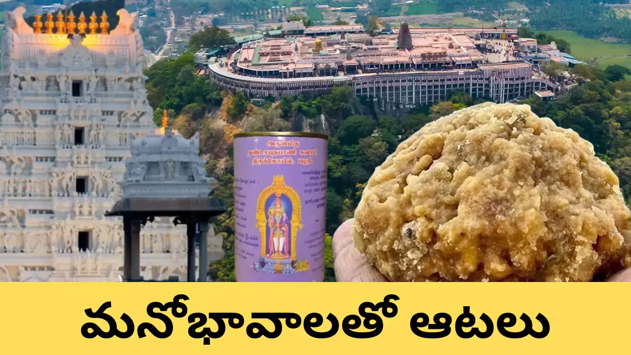 తిరుమల లడ్డు: తమిళనాడులో కుట్ర ..!