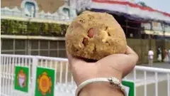 చంద్రబాబుకు సూటిగా ఐదు ప్రశ్నలు.. 3 రాష్ట్రాల ఎన్నికలే కారణమా?