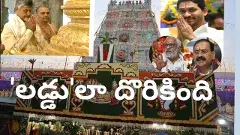 సిట్ కాదు... సీబీఐకి ఇవ్వండి..