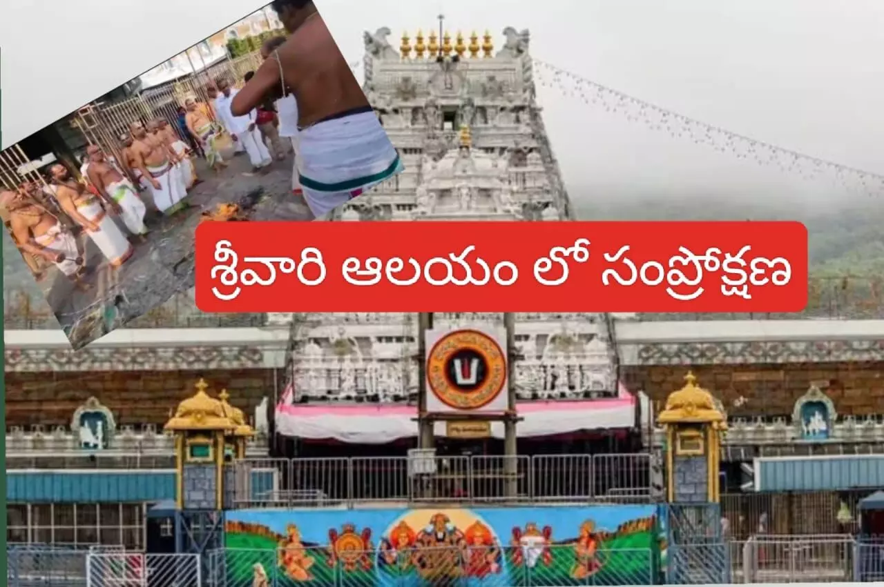 శాంతిహోమంతో శ్రీవారి ఆలయం శుద్ధి..