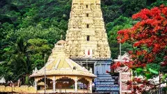 అప్పన్న గోశాల నెయ్యి అమ్మేది రూ.1600.. కొనేది మాత్రం రూ.385కే..