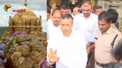 తిరుమల లడ్డూ : సిట్ విచారణకు విరామం ఎందుకిచ్చారు?